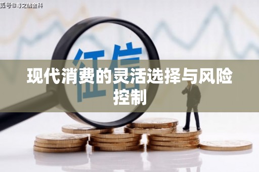 广水现代消费的灵活选择与风险控制