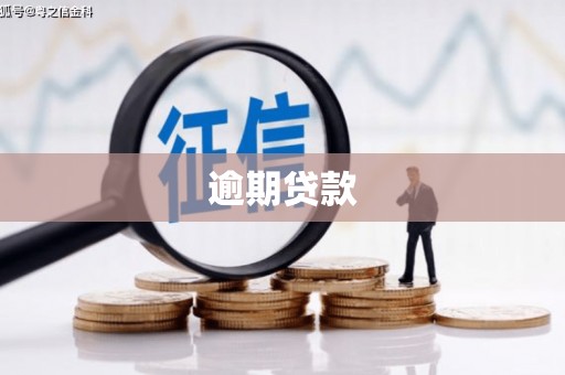 广水逾期贷款