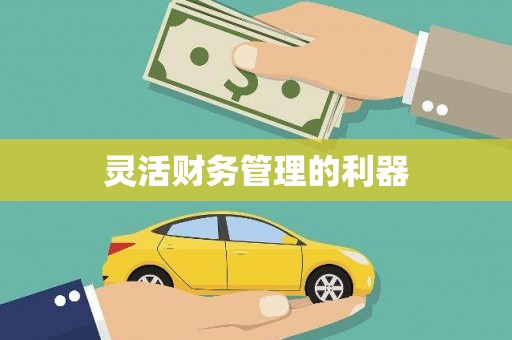 广水灵活财务管理的利器