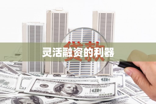 广水灵活融资的利器