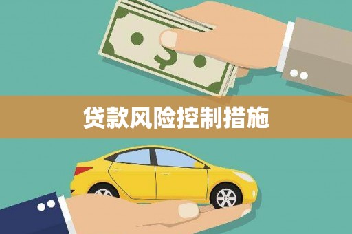 广水贷款风险控制措施