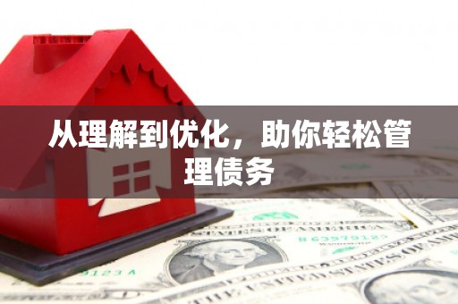 广水从理解到优化，助你轻松管理债务