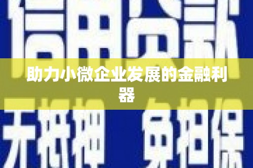 广水助力小微企业发展的金融利器