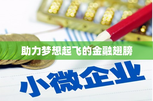 广水助力梦想起飞的金融翅膀