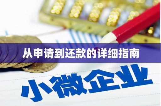 广水从申请到还款的详细指南