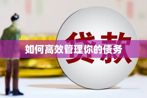 广水如何高效管理你的债务
