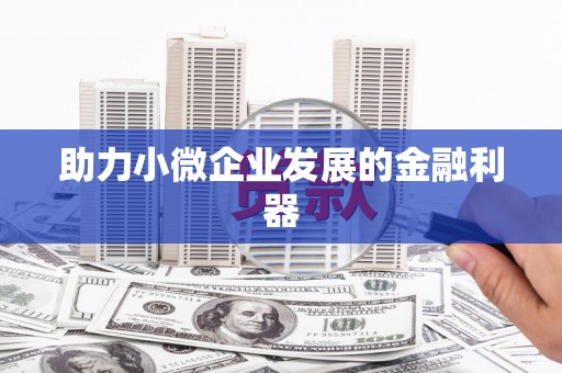 广水助力小微企业发展的金融利器