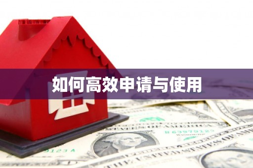 广水如何高效申请与使用