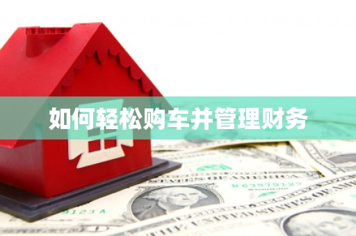广水如何轻松购车并管理财务