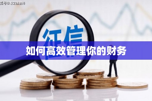广水如何高效管理你的财务