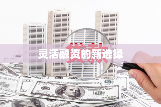广水灵活融资的新选择