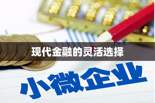 广水现代金融的灵活选择