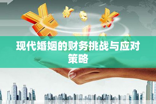 广水现代婚姻的财务挑战与应对策略