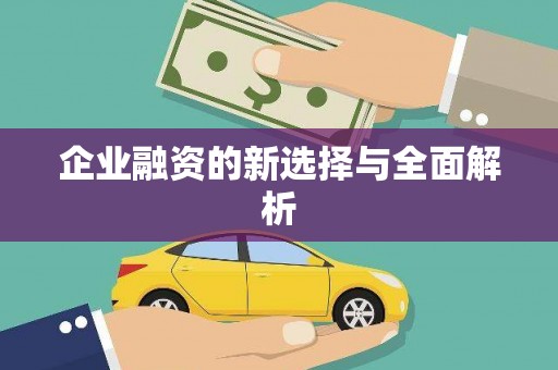 广水企业融资的新选择与全面解析