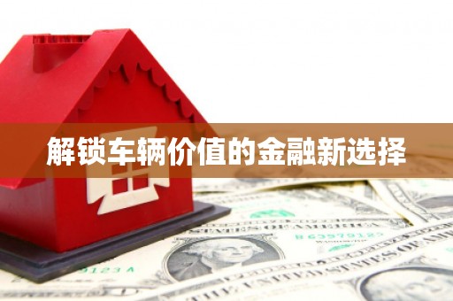 广水解锁车辆价值的金融新选择
