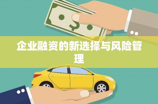 广水企业融资的新选择与风险管理