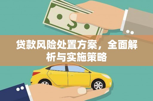广水贷款风险处置方案，全面解析与实施策略