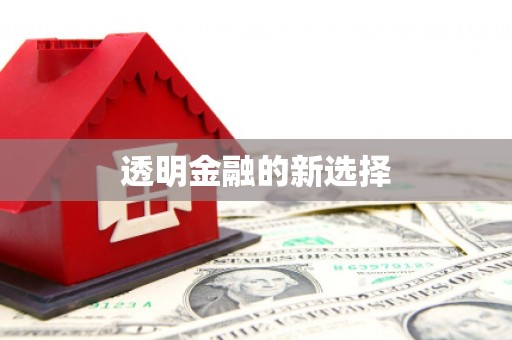 广水透明金融的新选择