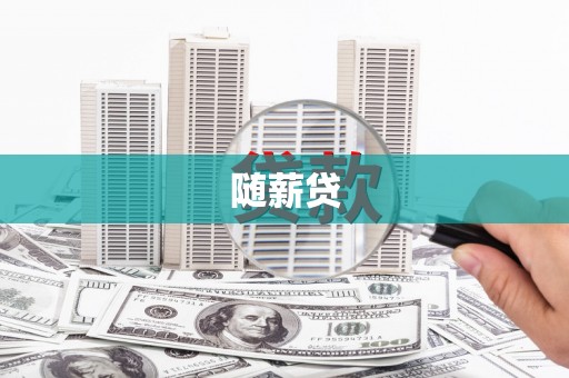 广水随薪贷
