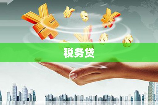 广水税务贷