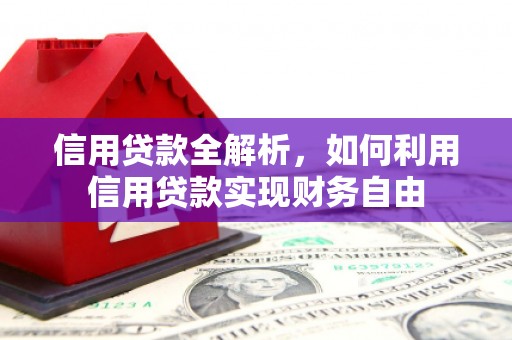 广水信用贷款全解析，如何利用信用贷款实现财务自由