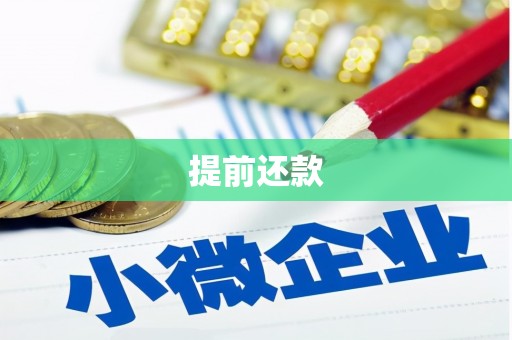 广水提前还款
