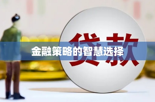 广水金融策略的智慧选择
