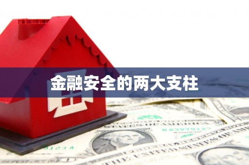 广水金融安全的两大支柱