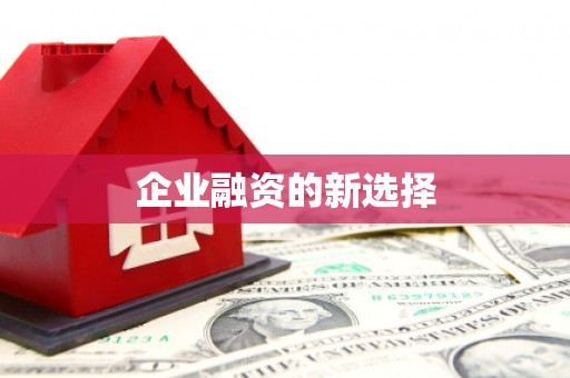 广水企业融资的新选择