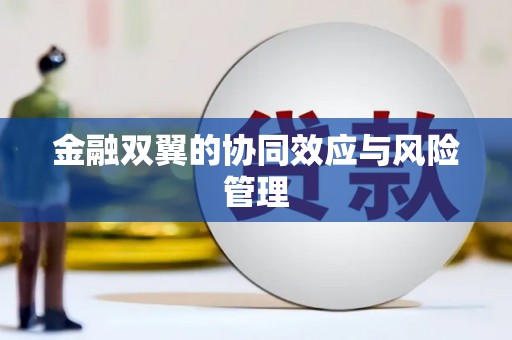 广水金融双翼的协同效应与风险管理