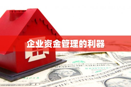 广水企业资金管理的利器