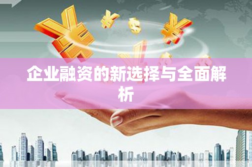 广水企业融资的新选择与全面解析