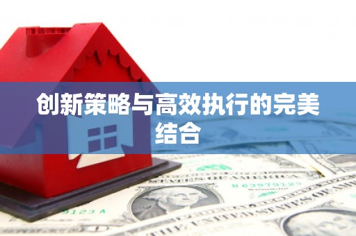 广水创新策略与高效执行的完美结合