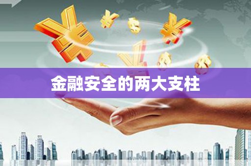 广水金融安全的两大支柱