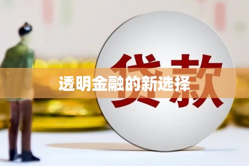 广水透明金融的新选择