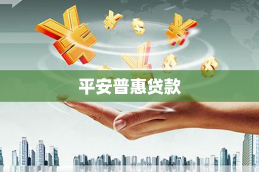 广水平安普惠贷款