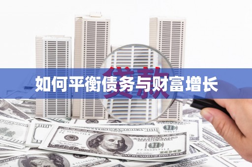 广水如何平衡债务与财富增长