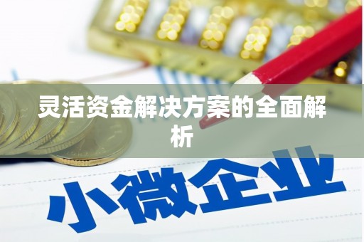 广水灵活资金解决方案的全面解析