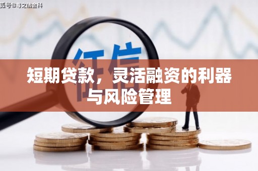 广水短期贷款，灵活融资的利器与风险管理