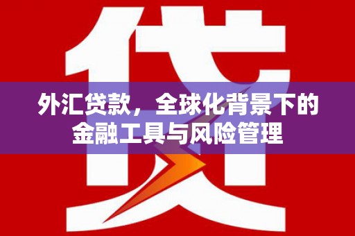 广水外汇贷款，全球化背景下的金融工具与风险管理