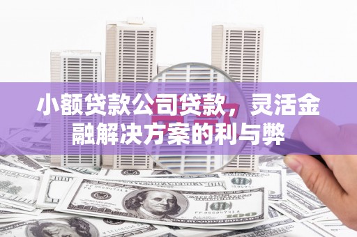 广水小额贷款公司贷款，灵活金融解决方案的利与弊
