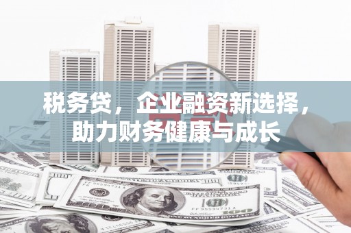 广水税务贷，企业融资新选择，助力财务健康与成长