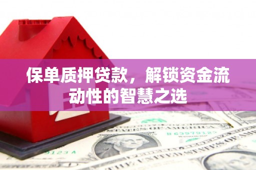 广水保单质押贷款，解锁资金流动性的智慧之选