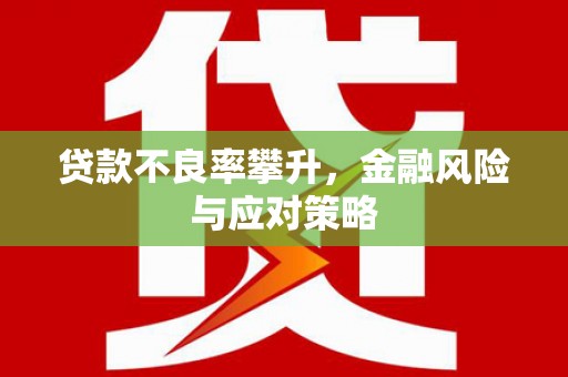 广水贷款不良率攀升，金融风险与应对策略