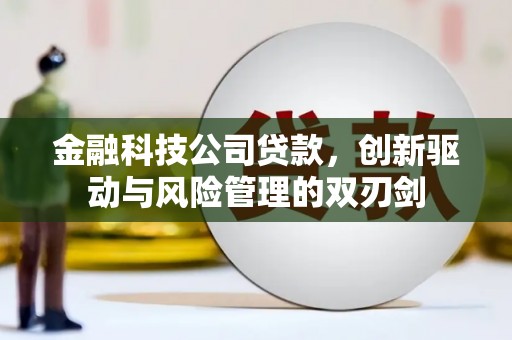 广水金融科技公司贷款，创新驱动与风险管理的双刃剑