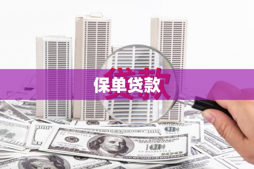 广水保单贷款